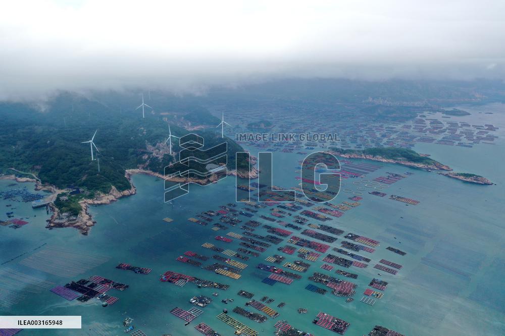 Marine Pastures in Fuzhou