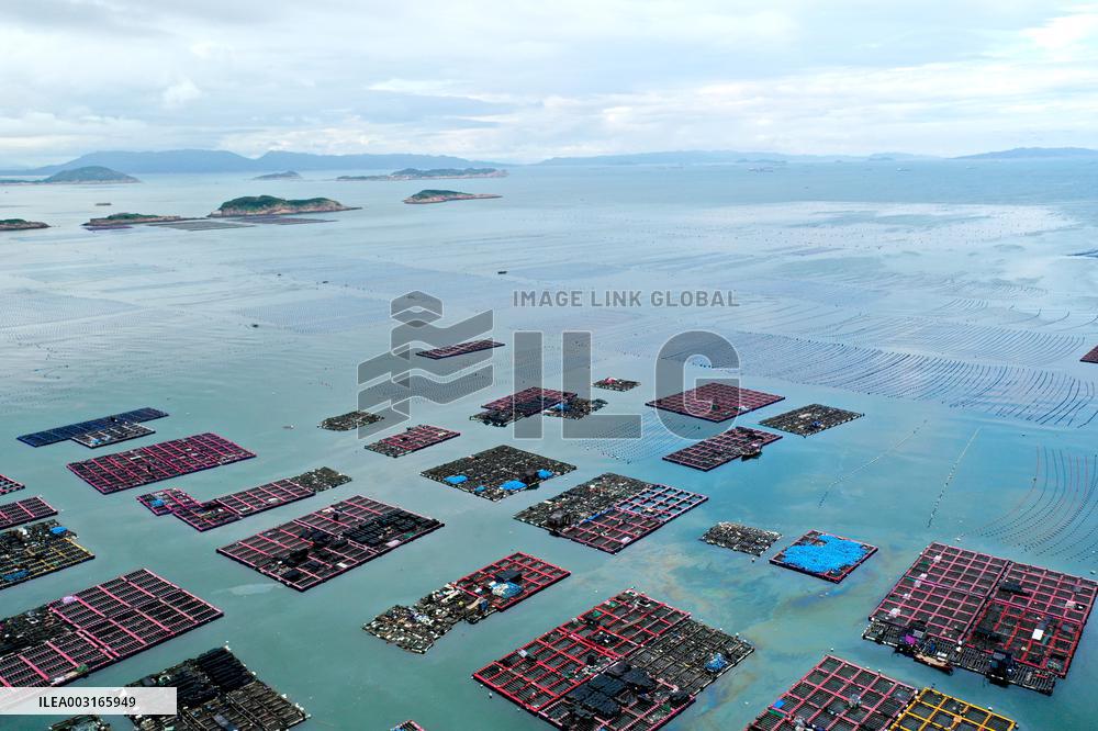 Marine Pastures in Fuzhou