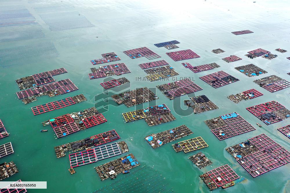 Marine Pastures in Fuzhou