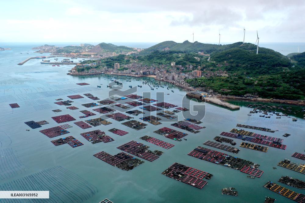 Marine Pastures in Fuzhou
