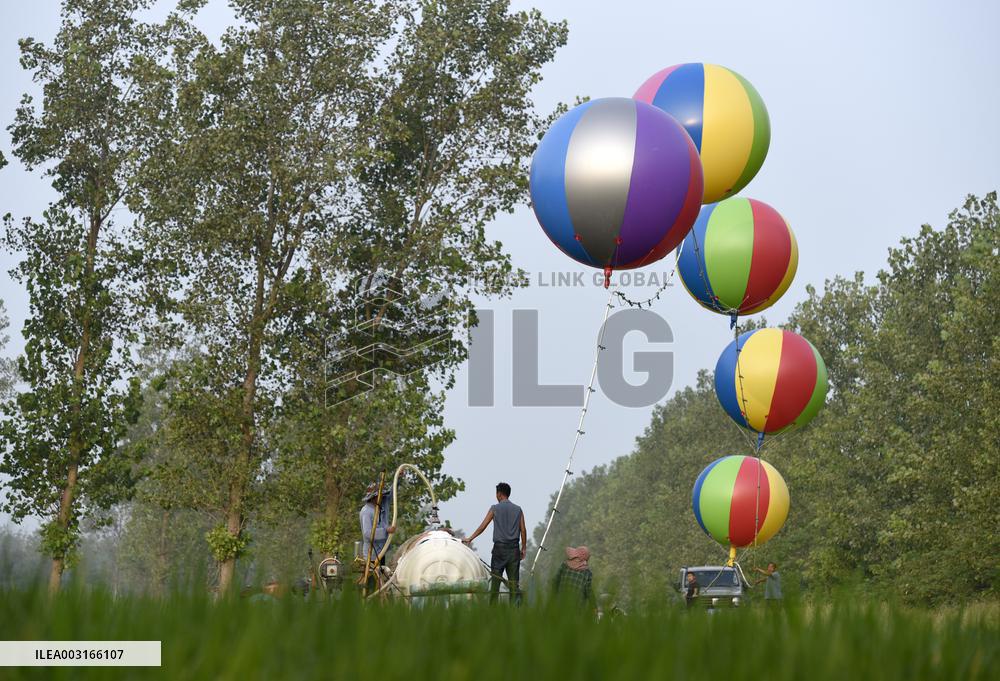 Hydrogen Balloon Irrigation Agriculture in Suqian