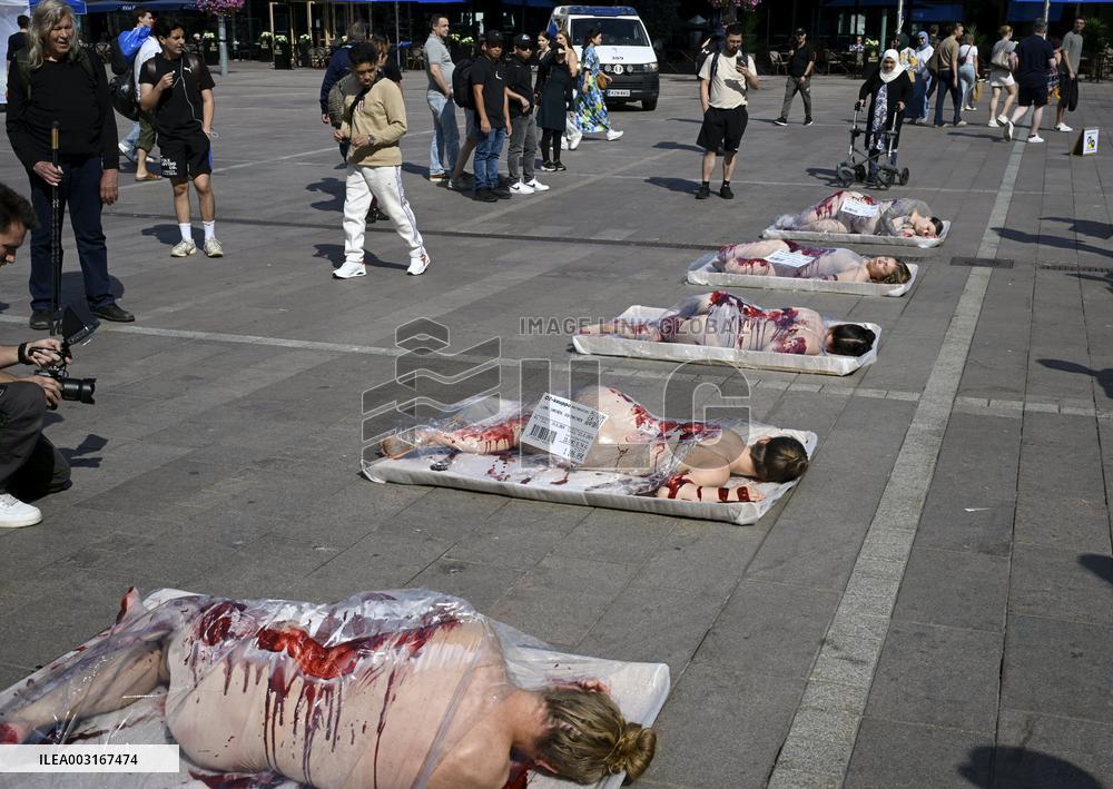 Oikeutta eläimille -yhdistyksen performanssi