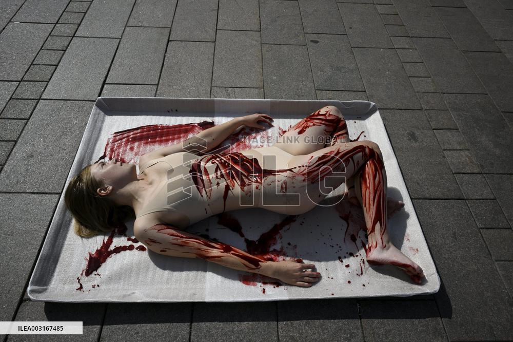 Oikeutta eläimille -yhdistyksen performanssi