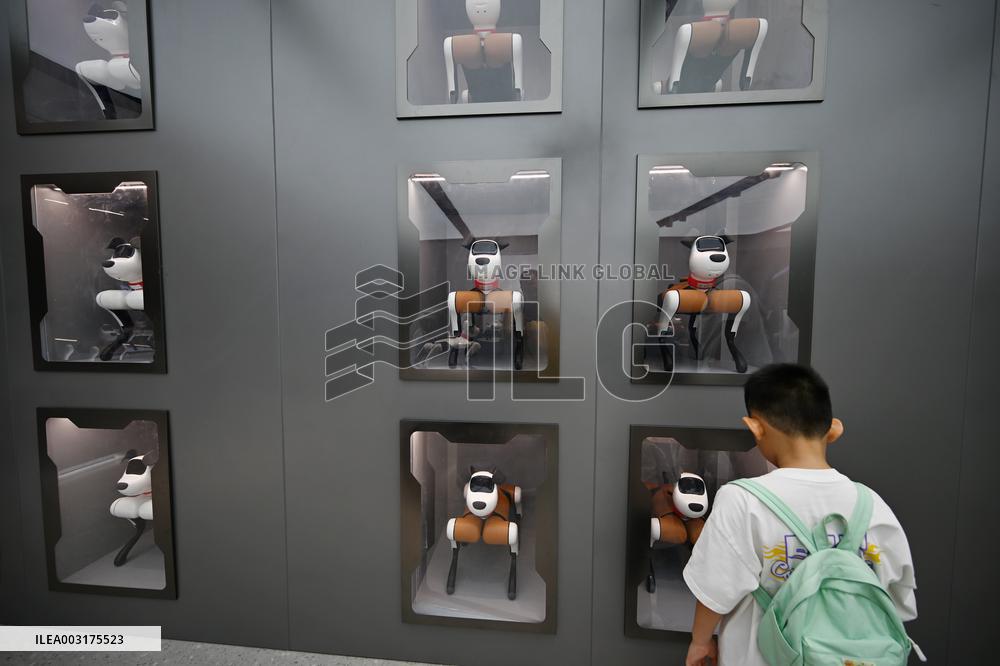 The First AI Robot Dog Experience Store in China