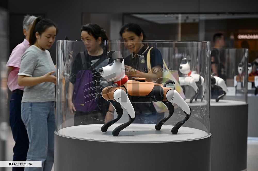 The First AI Robot Dog Experience Store in China