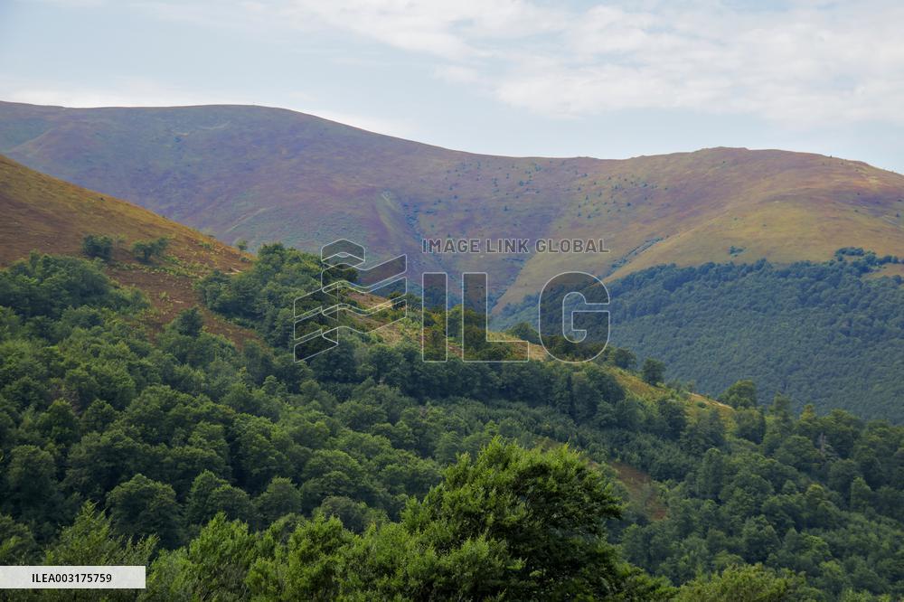 Pylypets ski resort in summer