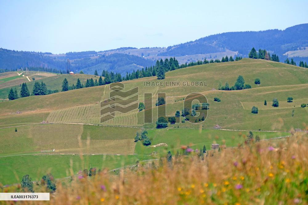 Ukrainian Carpathians