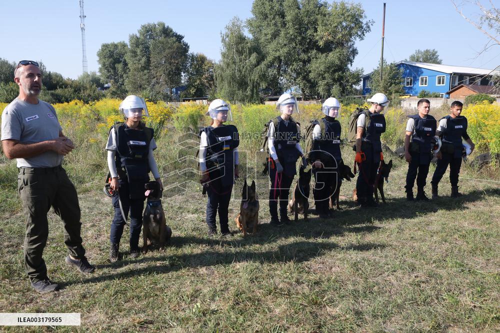 Launch of humanitarian demining project involving women canine handlers in Ukraine