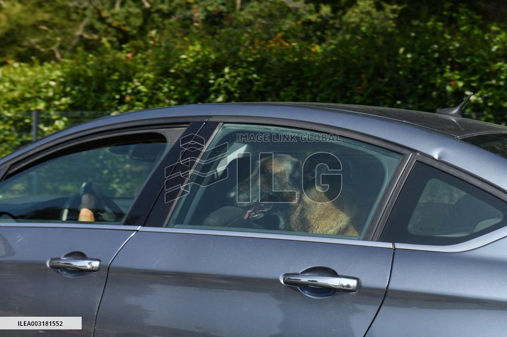 Rosalie van Breemen At Delon's Estate - Douchy