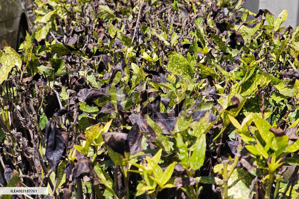 High Temperature Hit Shanghai