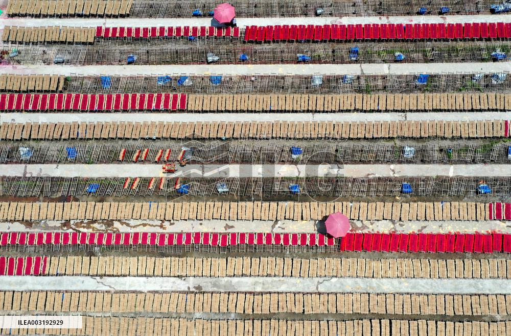 A Fragrance Making Enterprise in Quanzhou