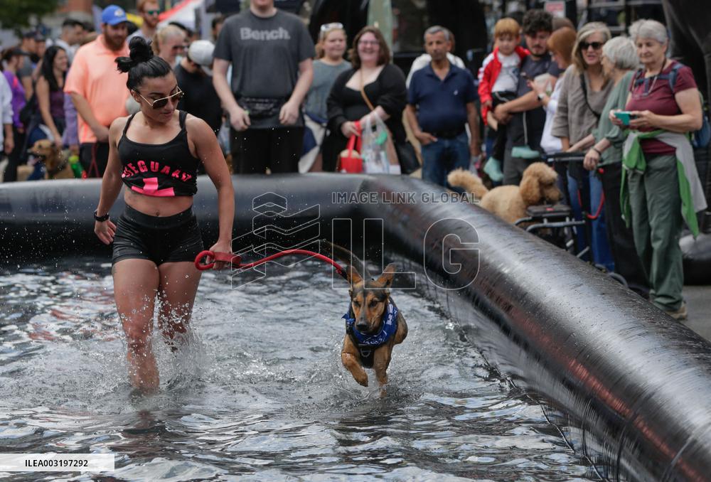 Pet-A-Palooza Event - Vancouver