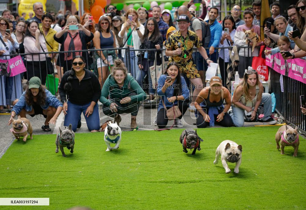 Pet-A-Palooza Event - Vancouver