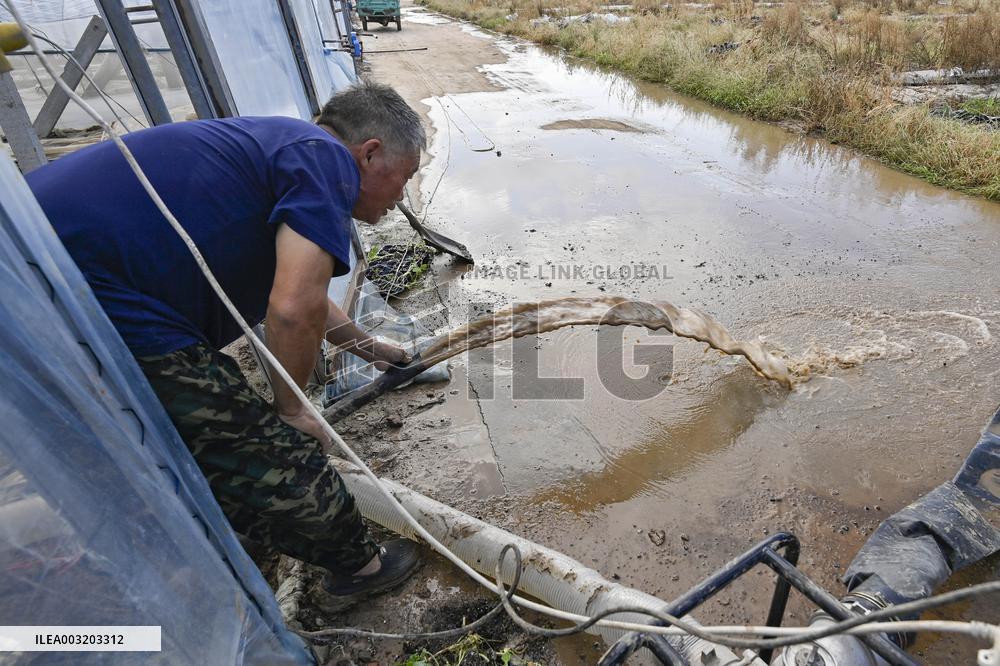 Rainstorm Hit Agriculture