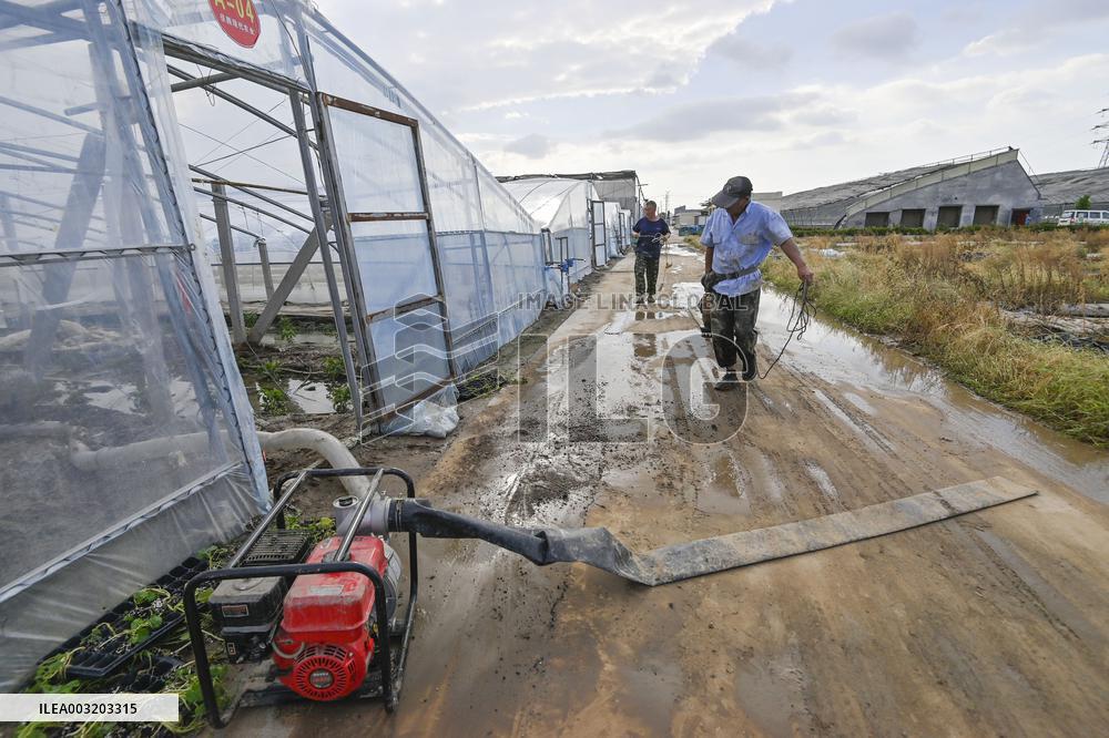 Rainstorm Hit Agriculture