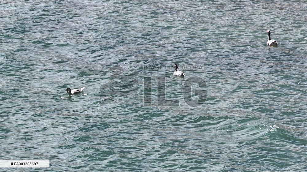 Changtang Uninhabited Area in Ngari