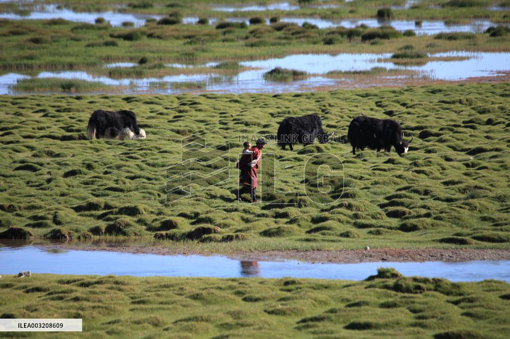 Changtang Uninhabited Area in Ngari