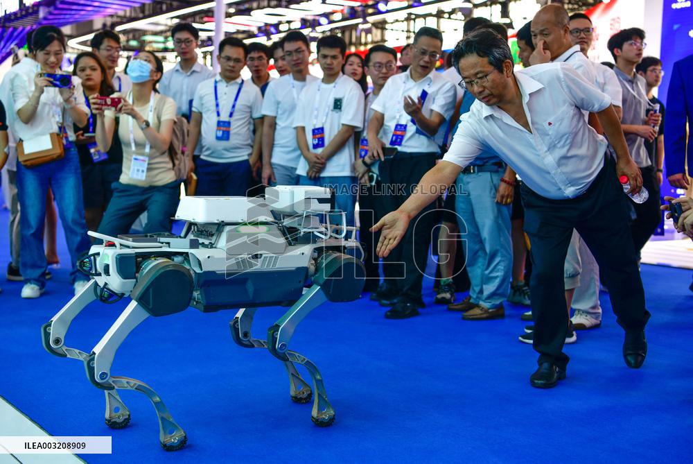 International Big Data Industry Expo - China