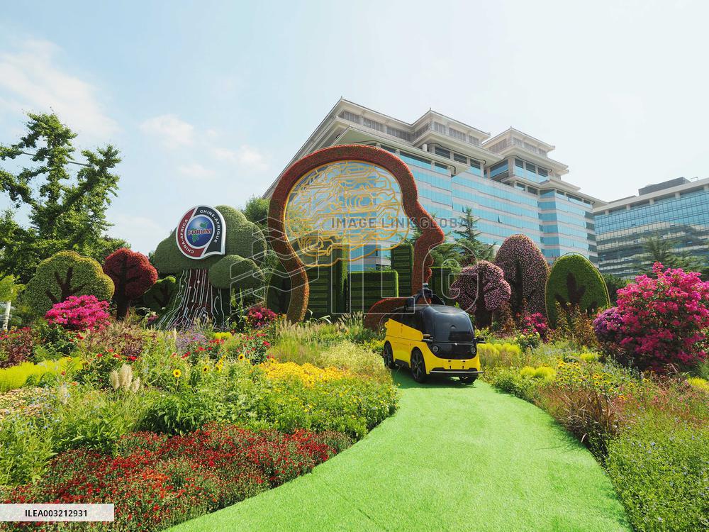 China-Africa Cooperation Summit Forum Theme Flower Bed
