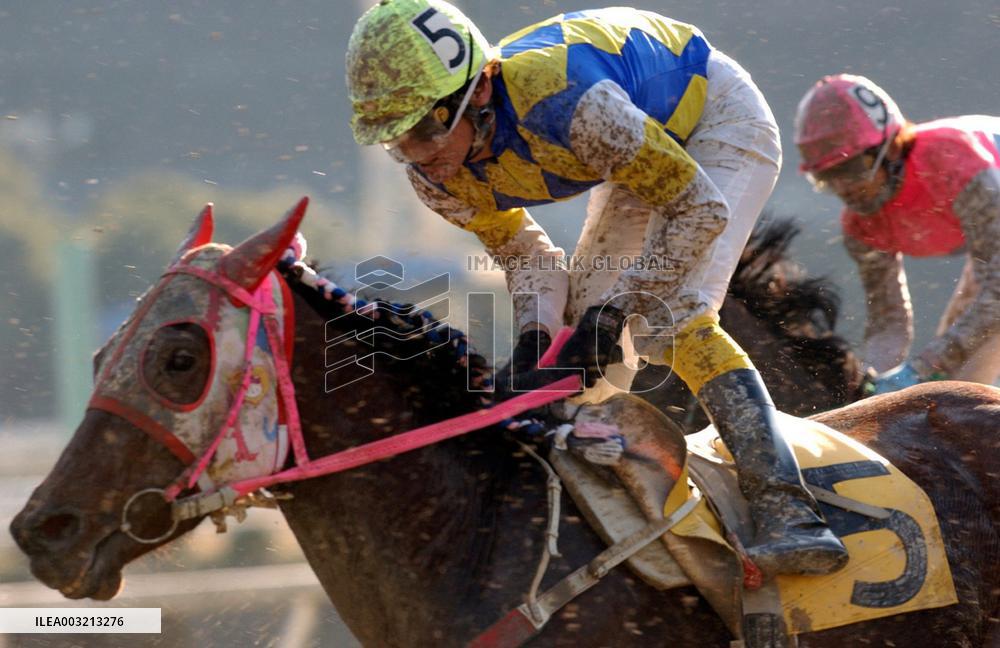 Japan's popular racehorse Haruurara