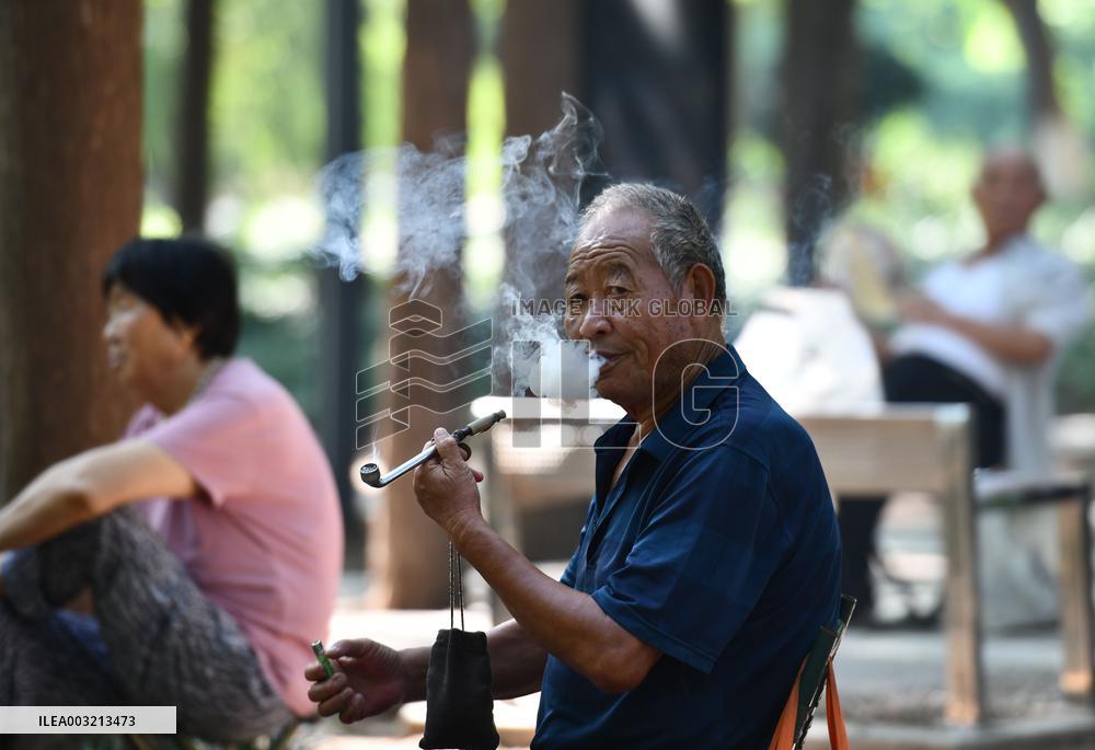 Average Life Expectancy in China