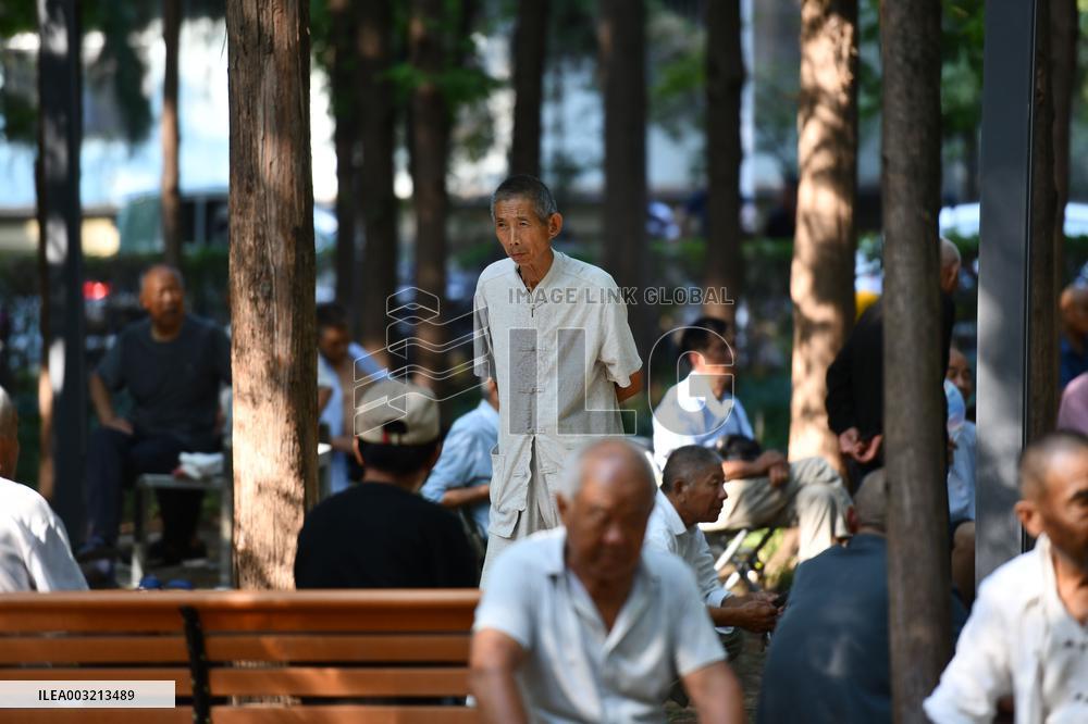 Average Life Expectancy in China