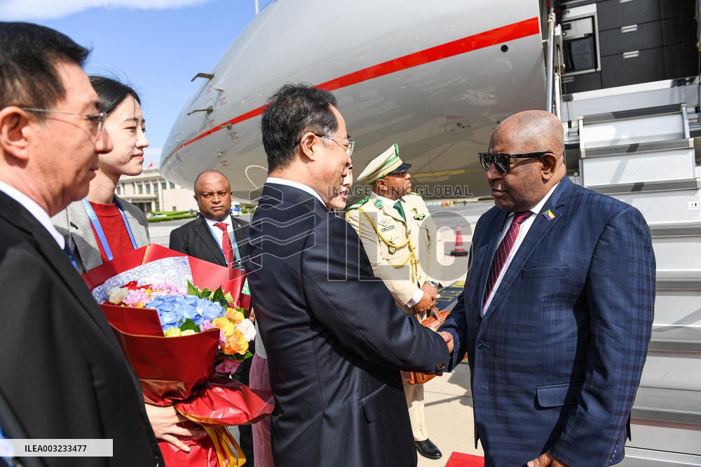 2024 Summit of the Forum on China-Africa Cooperation (FOCAC) - Beijing