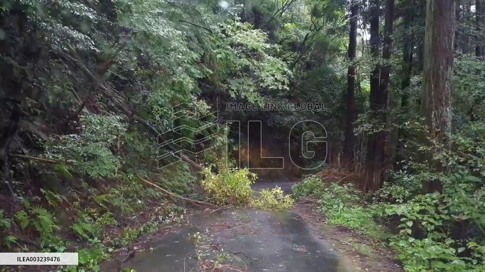 Japan: Downed Trees Block Road In Okazaki As Tropical Storm Shanshan Lashes Country