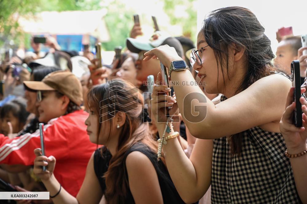 Celebrity Monkey at Qianlingshan Park Zoo in Guiyang