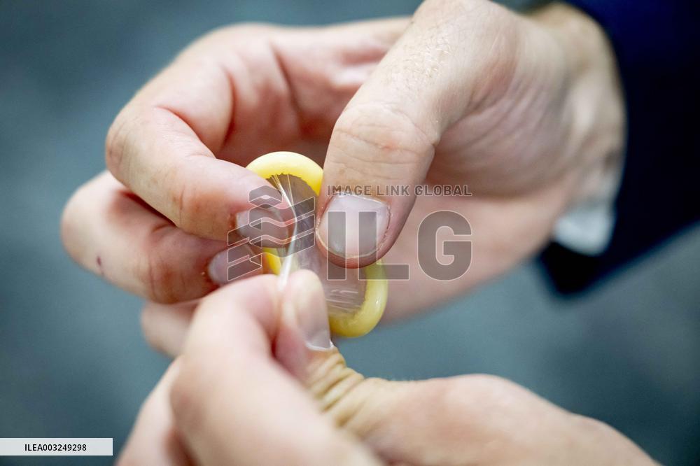 Condom Illustrations - Netherlands