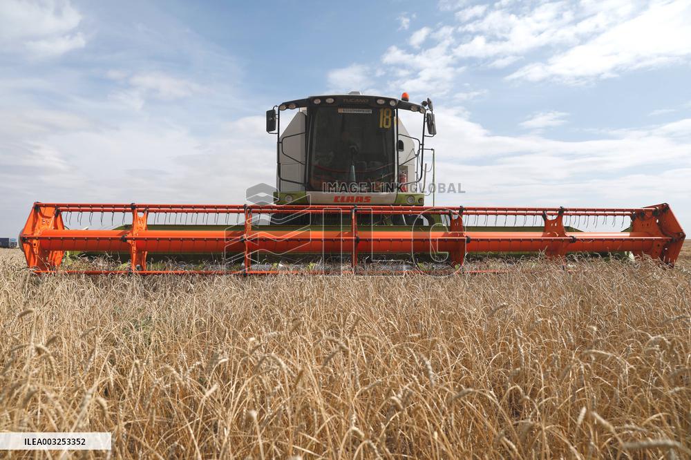 Wheat Harvest - Kazakhstan
