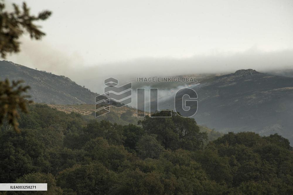 Forest Fire Burns 180 Hectares - Spain