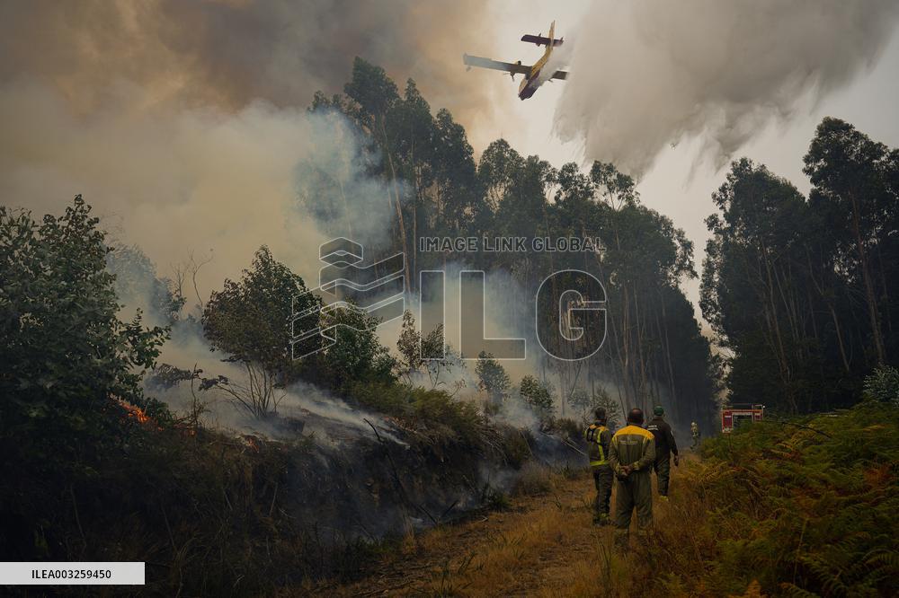 Forest Fire Burns 180 Hectares - Spain