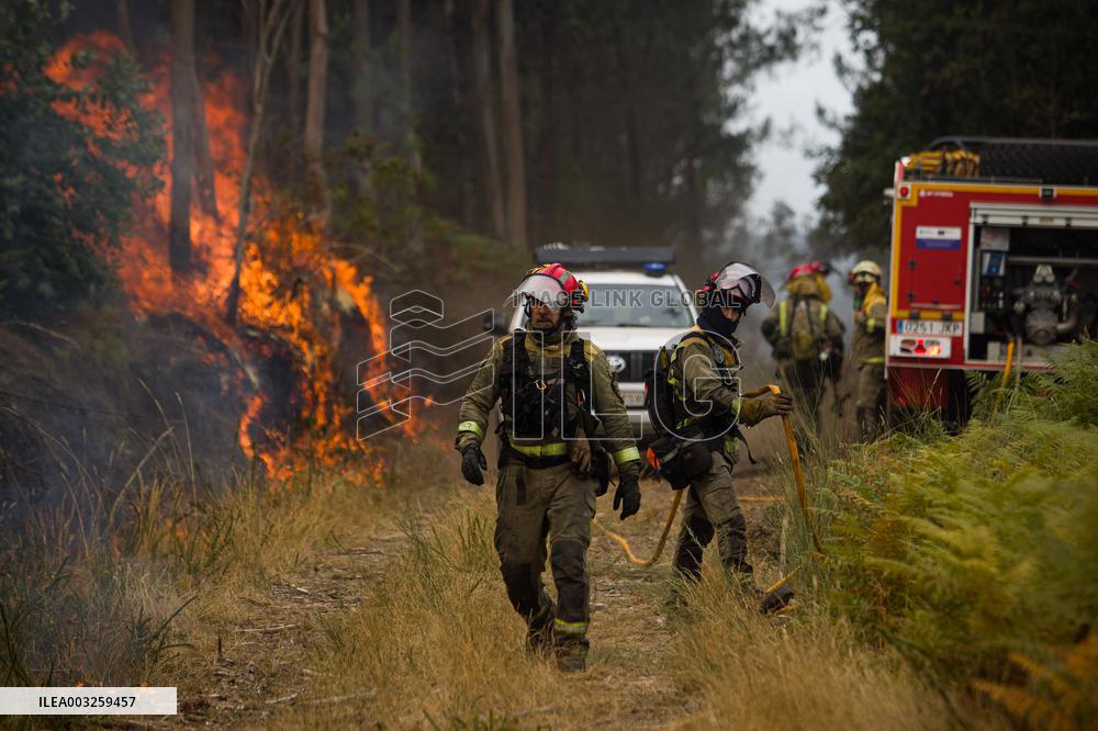 Forest Fire Burns 180 Hectares - Spain