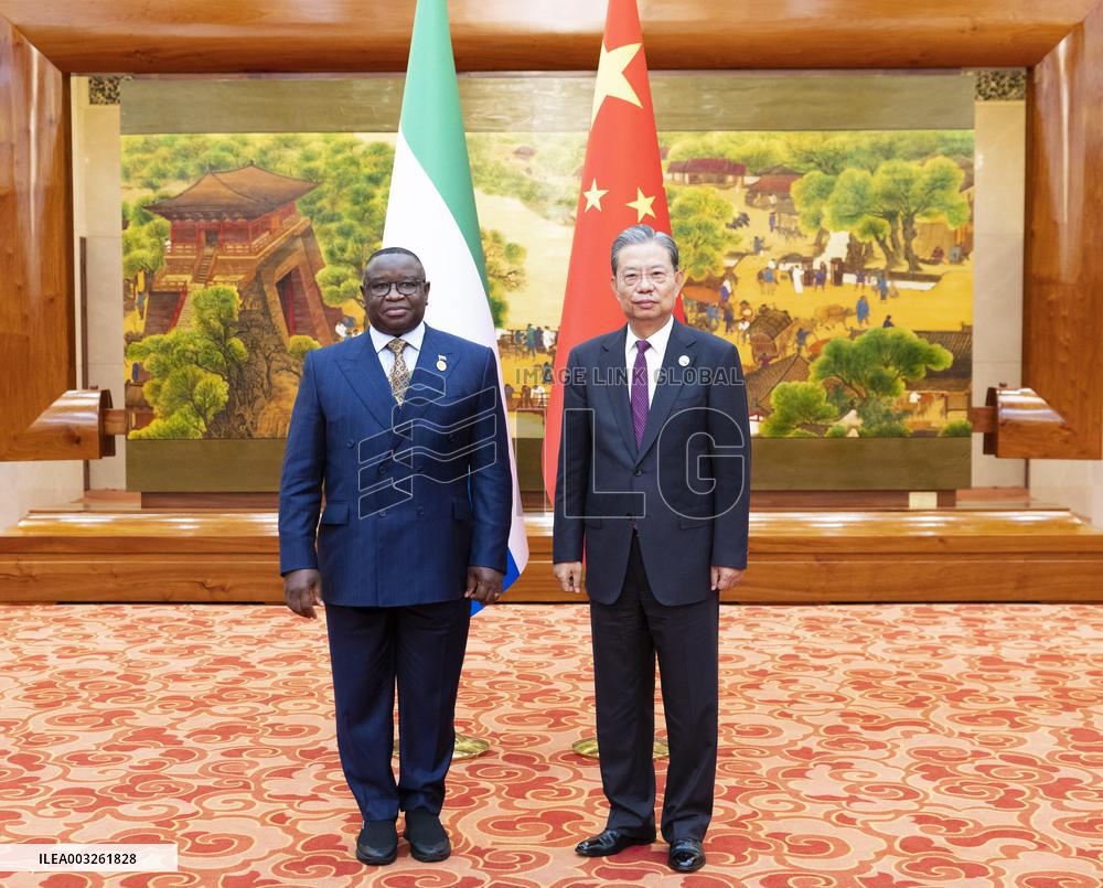 China-Africa Summit - Beijing