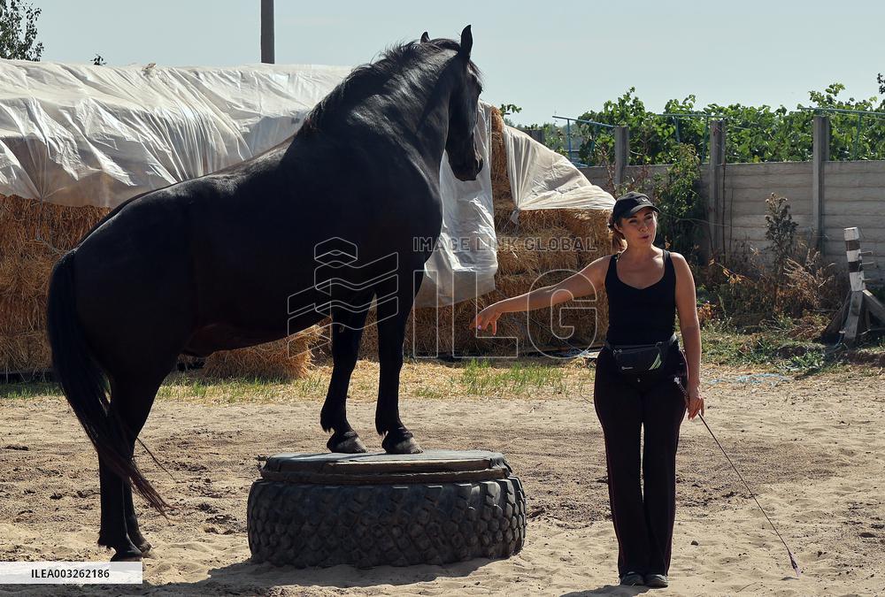 Ukrainian soldiers visit stable in Kharkiv region