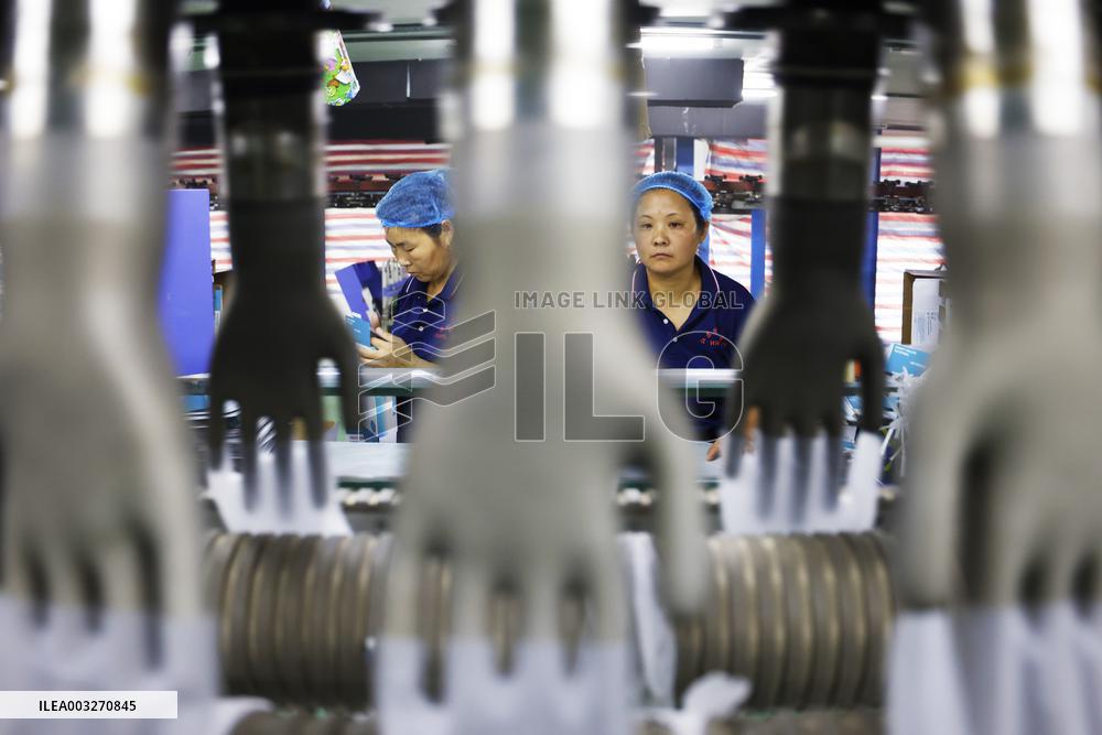 PVC Gloves Producing in Suqian