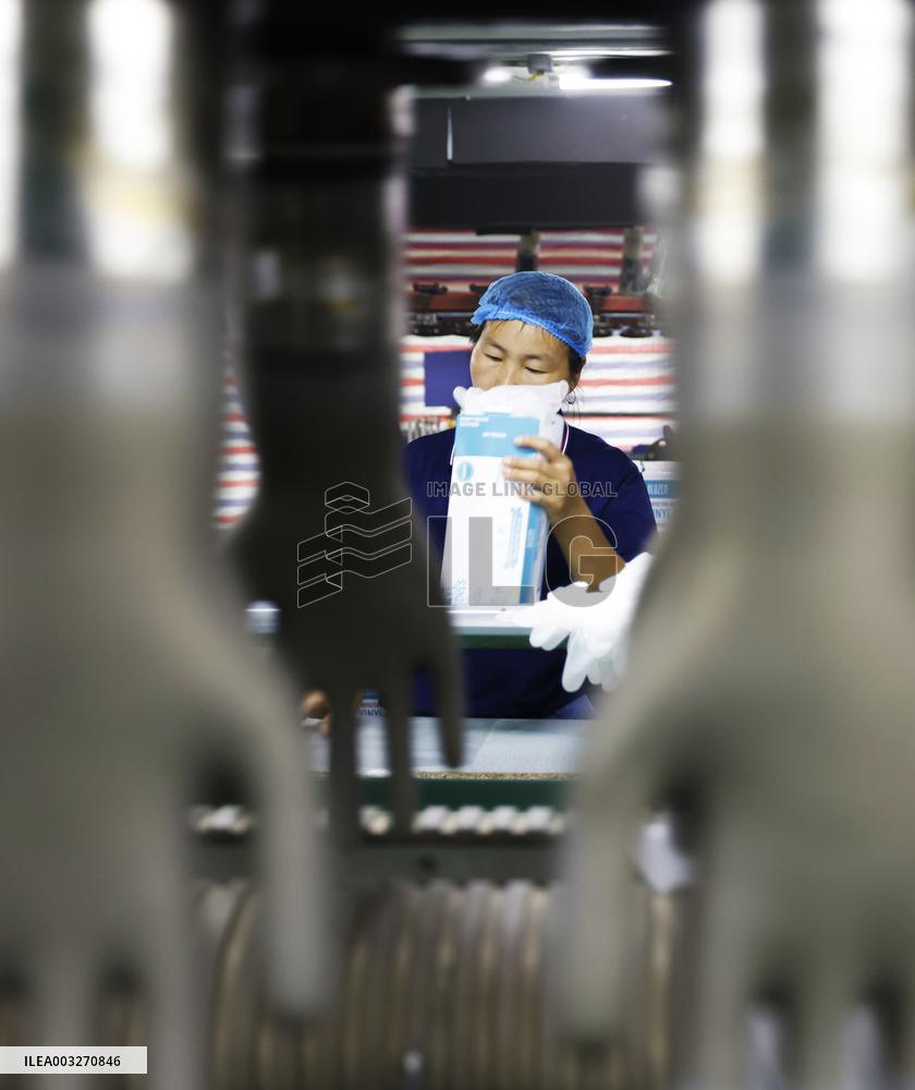 PVC Gloves Producing in Suqian