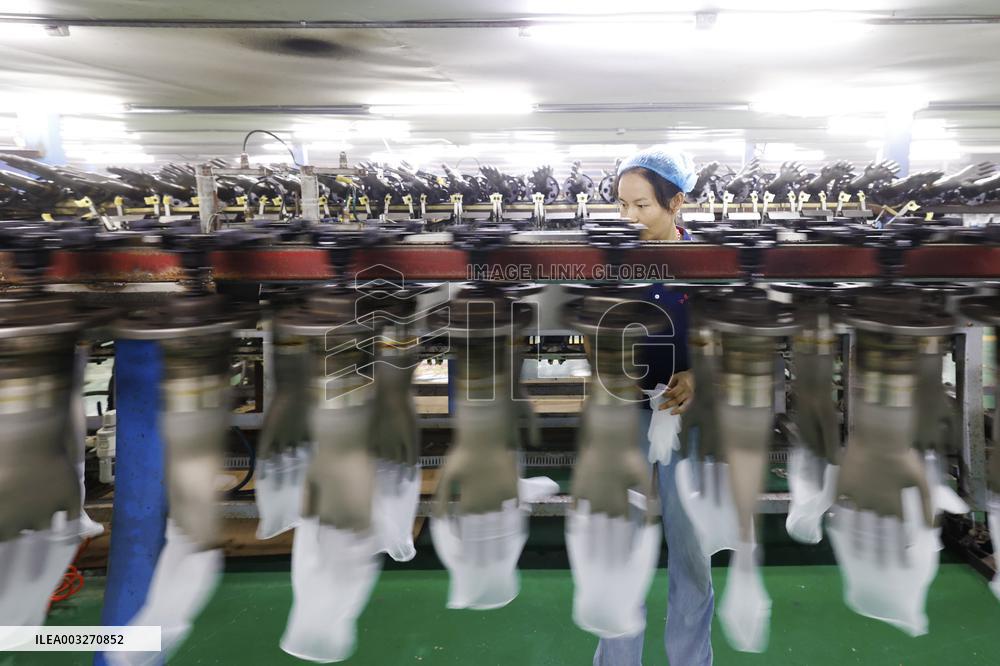 PVC Gloves Producing in Suqian