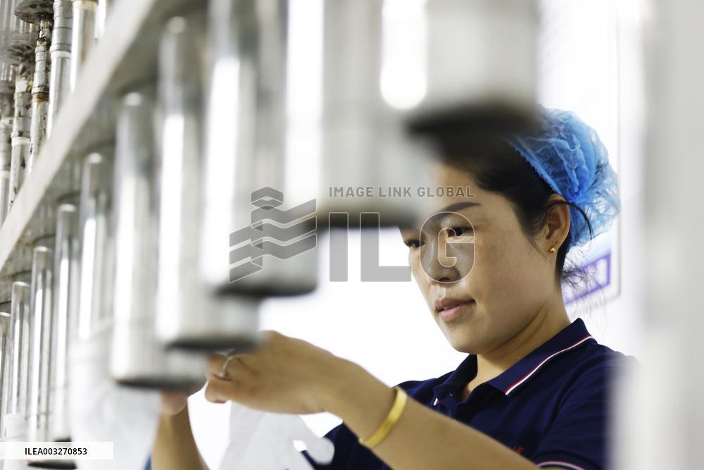 PVC Gloves Producing in Suqian