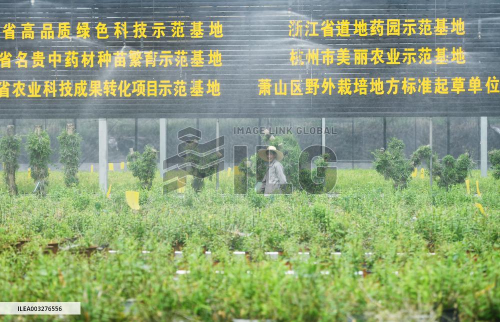 An Agricultural Garden in Hangzhou