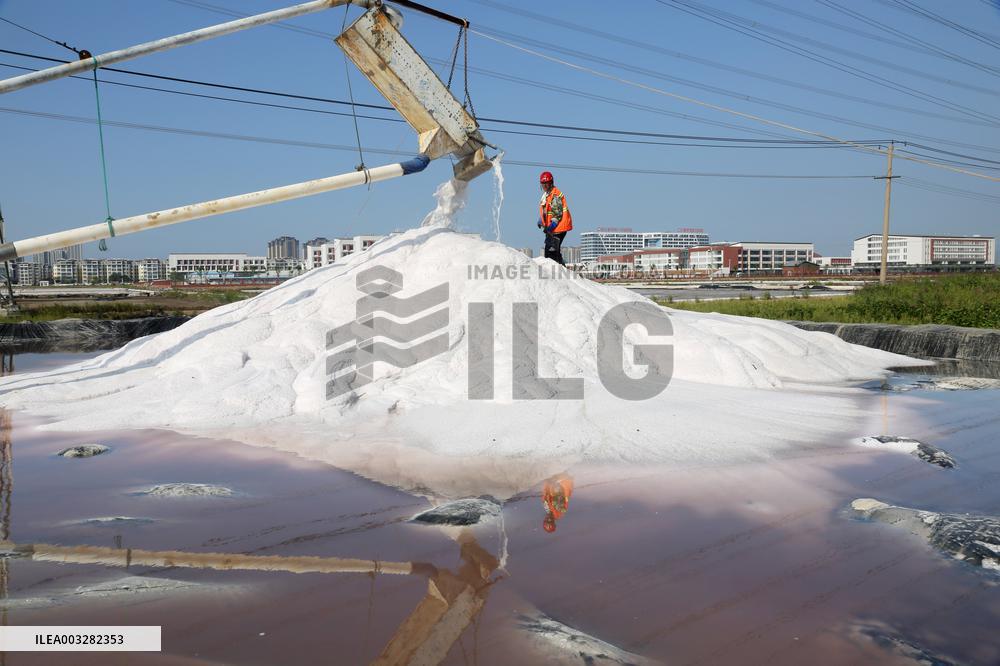 Raw Salt Harvest in Lianyungang
