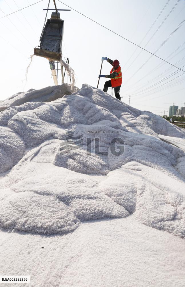 Raw Salt Harvest in Lianyungang