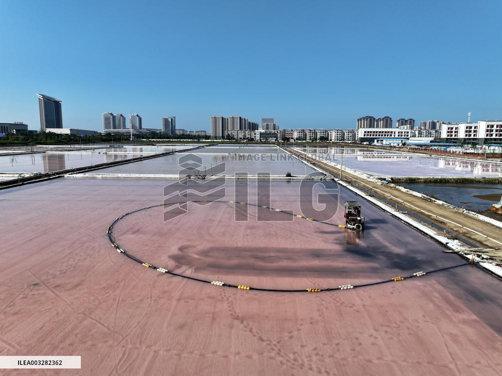 Raw Salt Harvest in Lianyungang