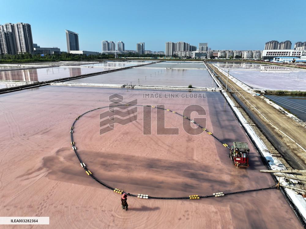 Raw Salt Harvest in Lianyungang