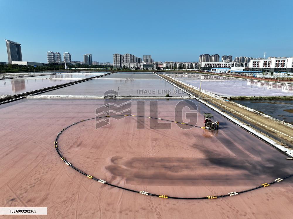 Raw Salt Harvest in Lianyungang