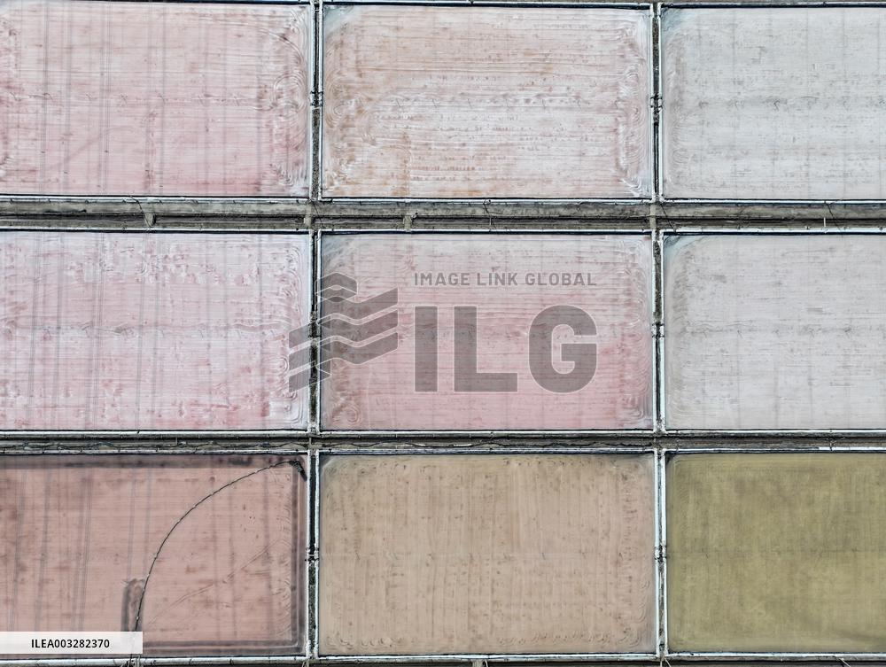 Raw Salt Harvest in Lianyungang