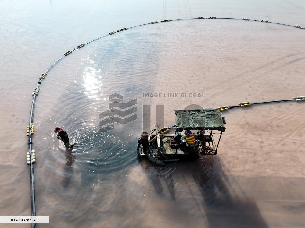 Raw Salt Harvest in Lianyungang