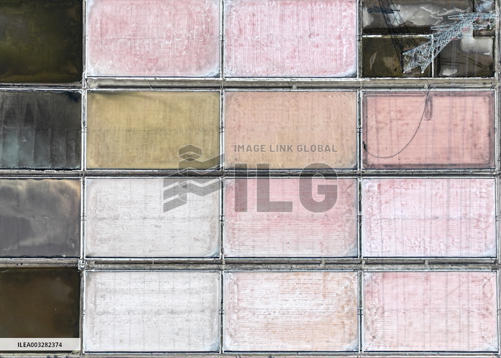 Raw Salt Harvest in Lianyungang