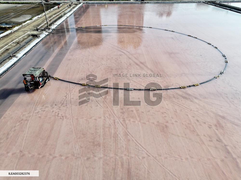 Raw Salt Harvest in Lianyungang